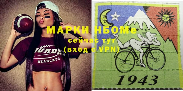 прущие грибы Белокуриха