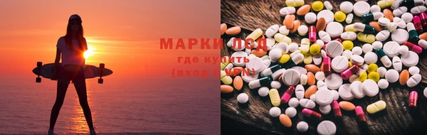 прущие грибы Белокуриха