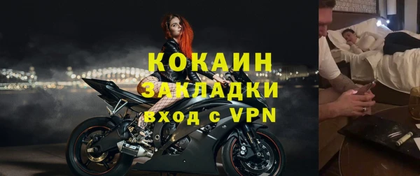 прущие грибы Белокуриха