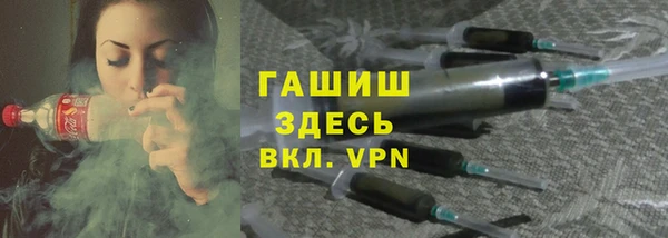 прущие грибы Белокуриха