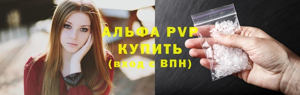прущие грибы Белокуриха