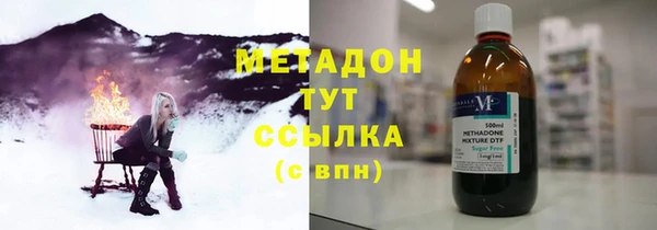 прущие грибы Белокуриха