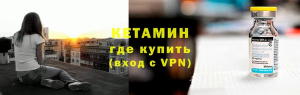 прущие грибы Белокуриха