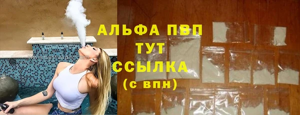 прущие грибы Белокуриха