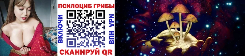 Галлюциногенные грибы Cubensis  кракен зеркало  Малмыж 